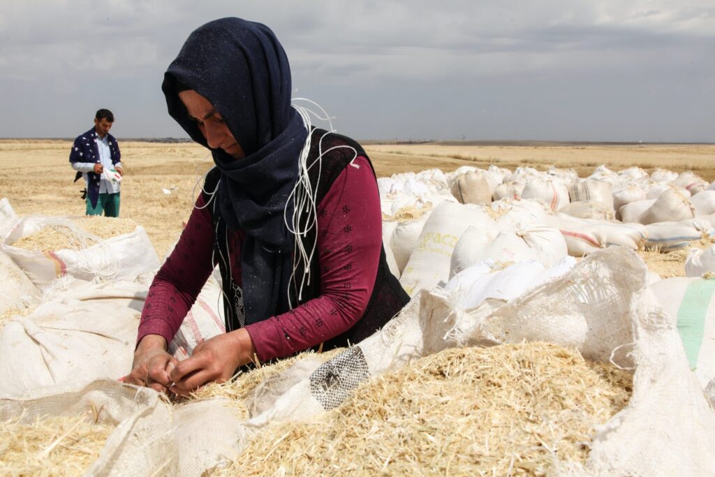 Woman in Hood Working on Field